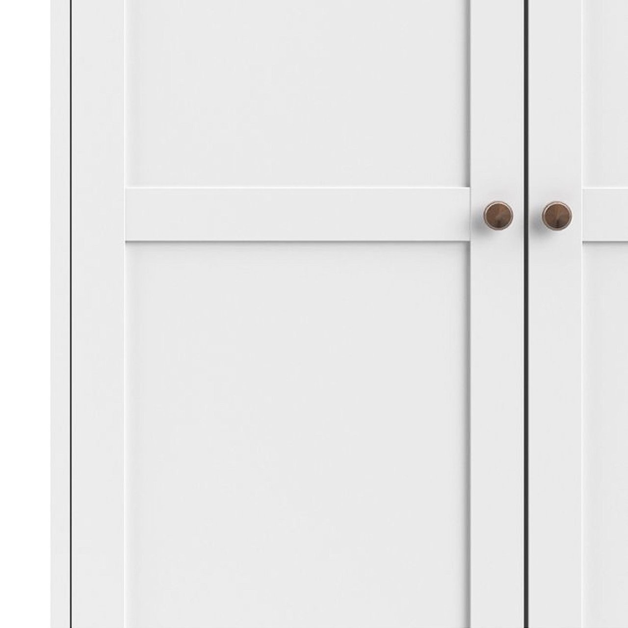 Zoom in on the front of the Nice wardrobe with a focus on the round metal handles